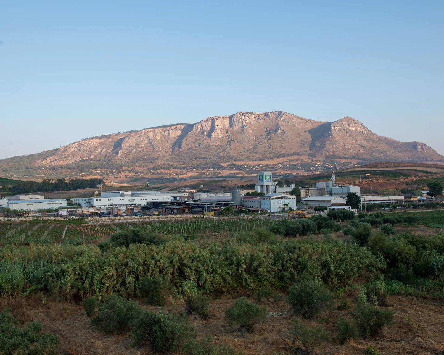 Entrepot_Mediterranean-56.jpg