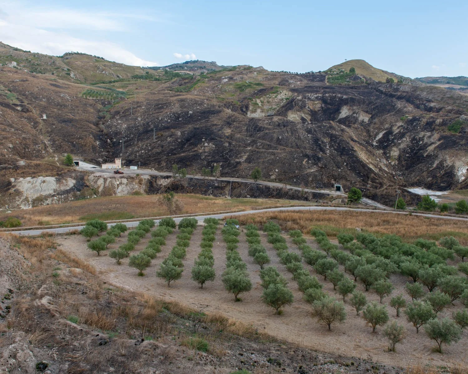 Entrepot_Mediterranean-60.jpg