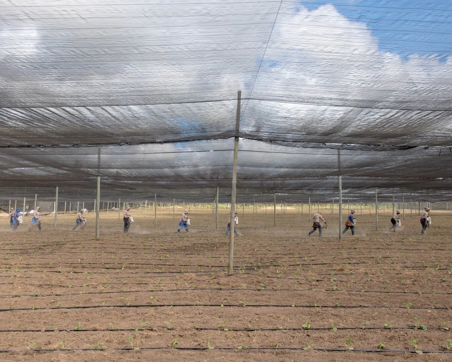 Entrepot_South America-21.jpg