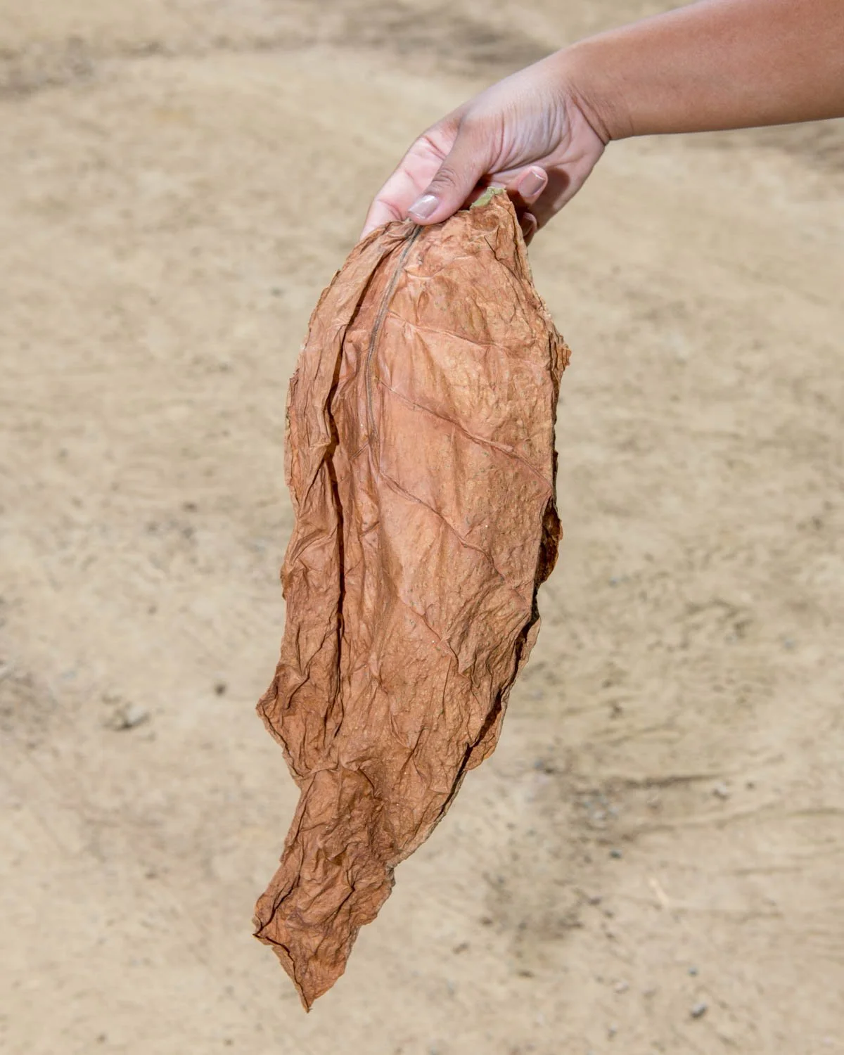Entrepot_South America-28.jpg