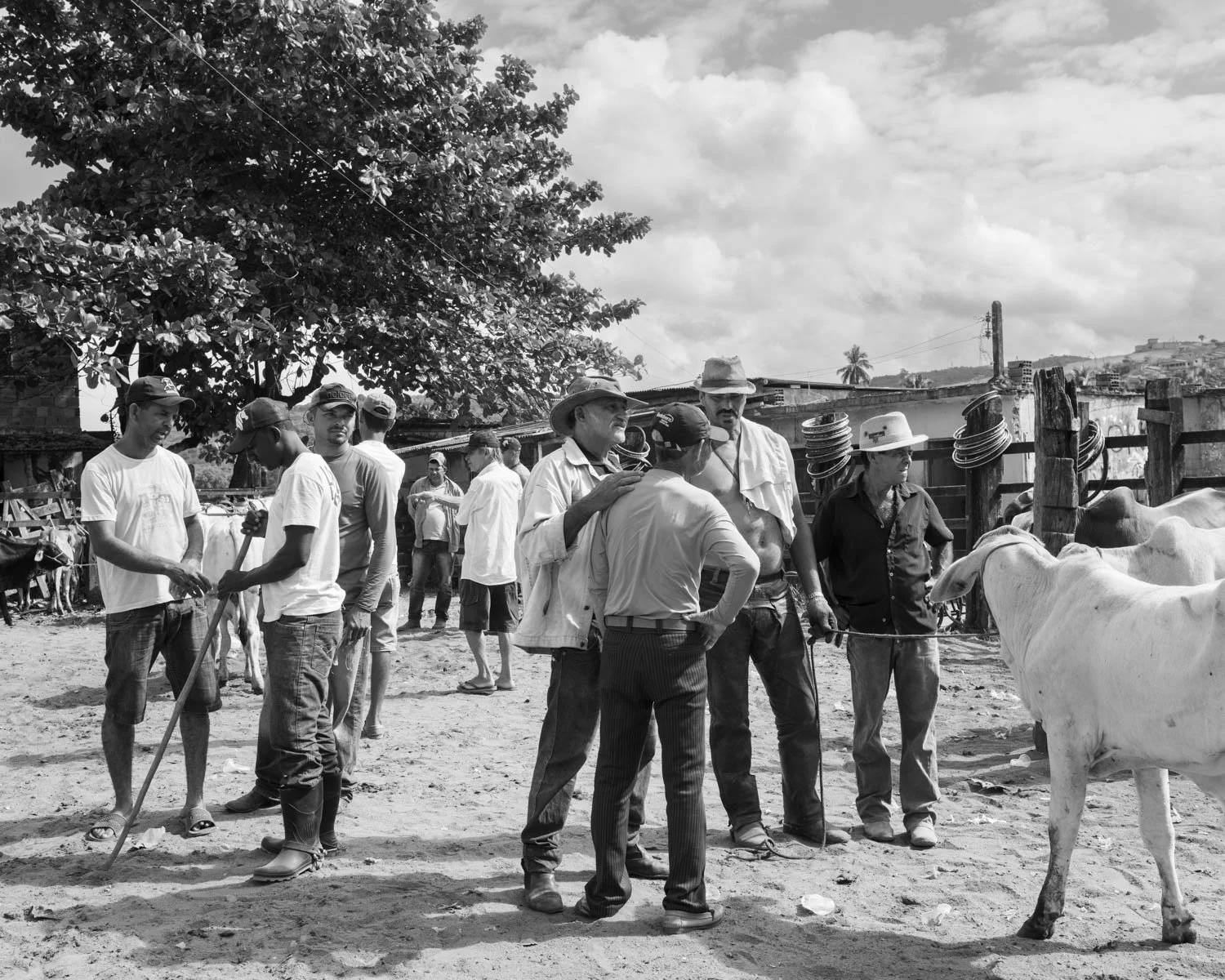 Entrepot_South America-36.jpg