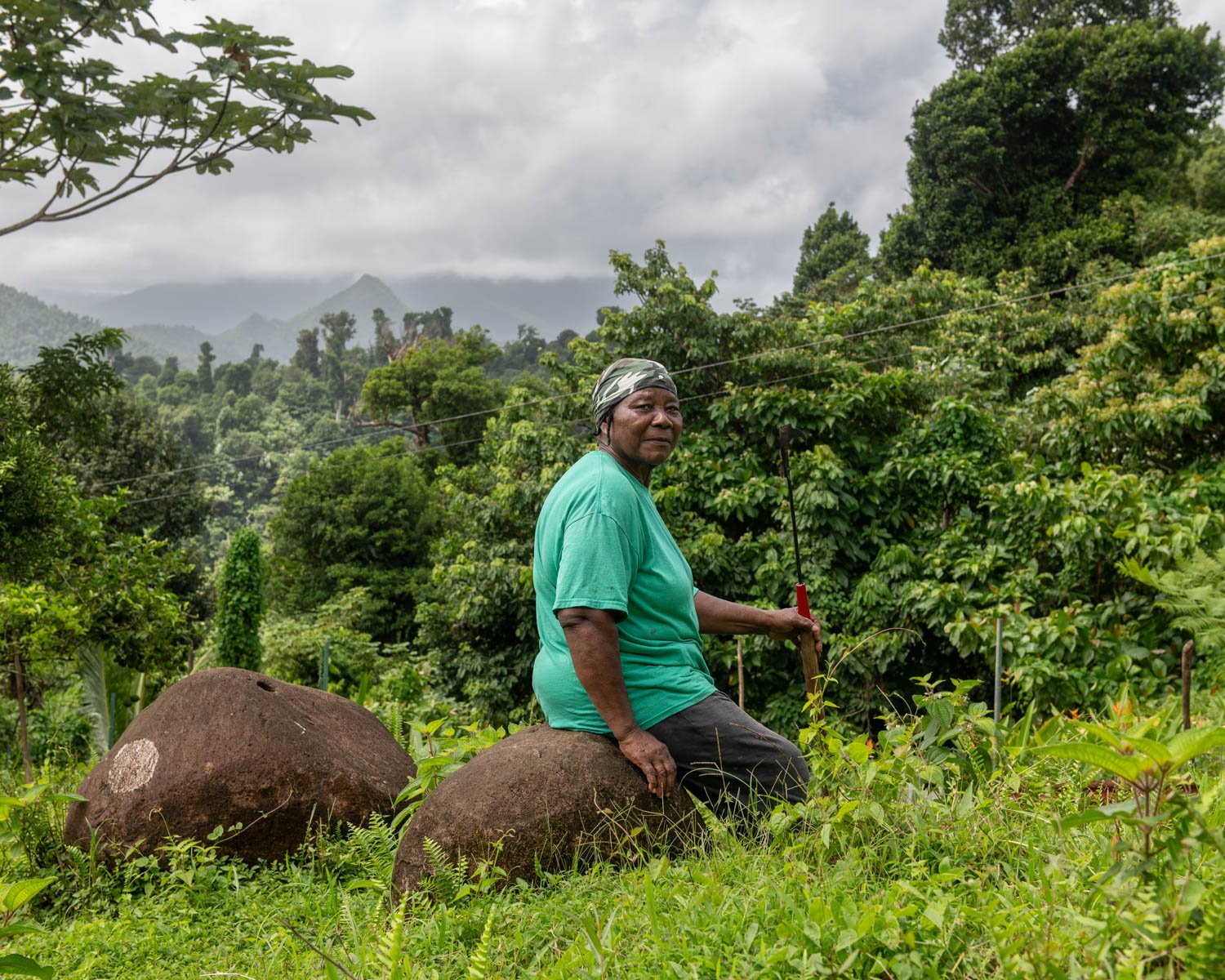 Entrepot_Dominica-12.jpg