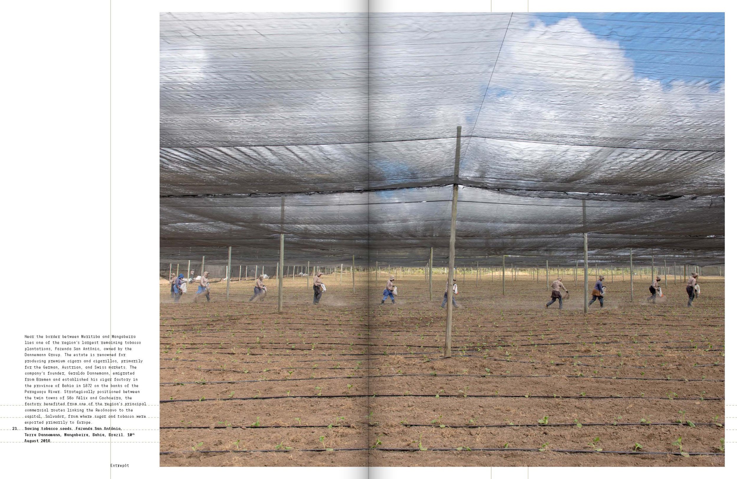 Entrepot_7. South America_27_Page_16.jpg