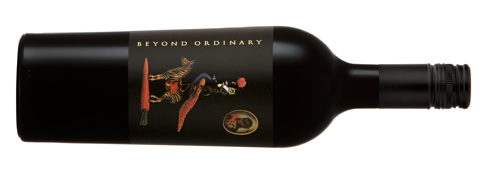 Beyond_Ordinary_pack.png