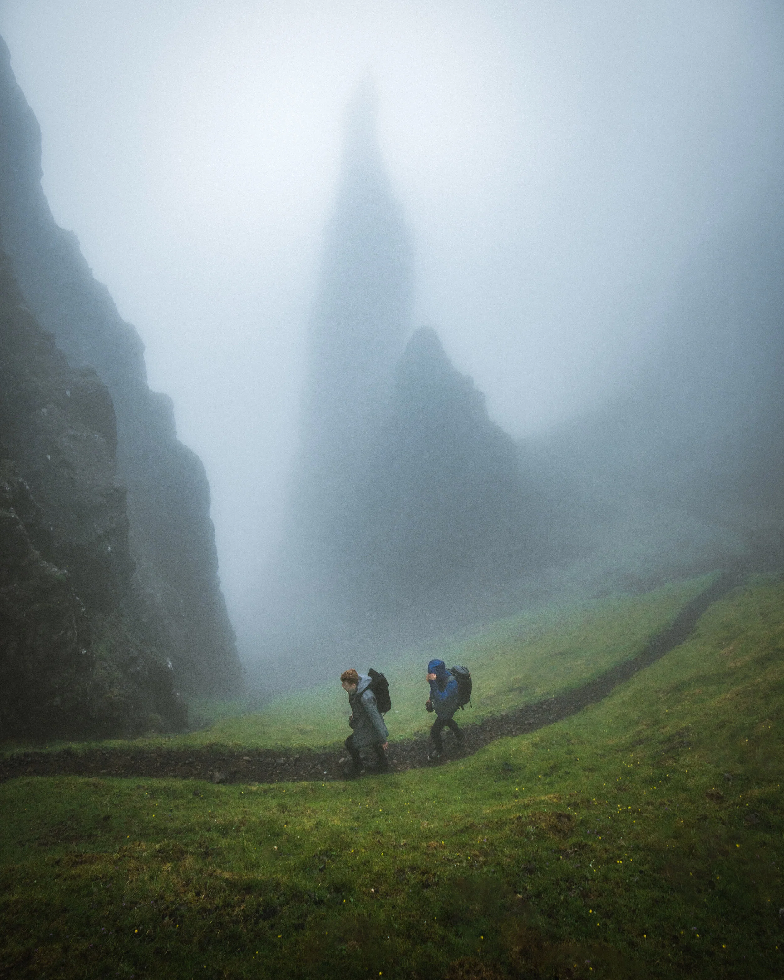 needle fog--9.jpg