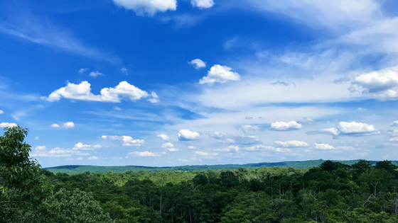 ALAMLE Blog Banner Placeholder.png