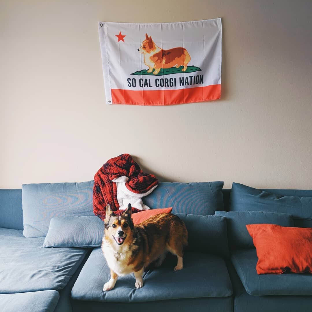 Cheers to the weekend full of royal weddings, corgis and more corgis.