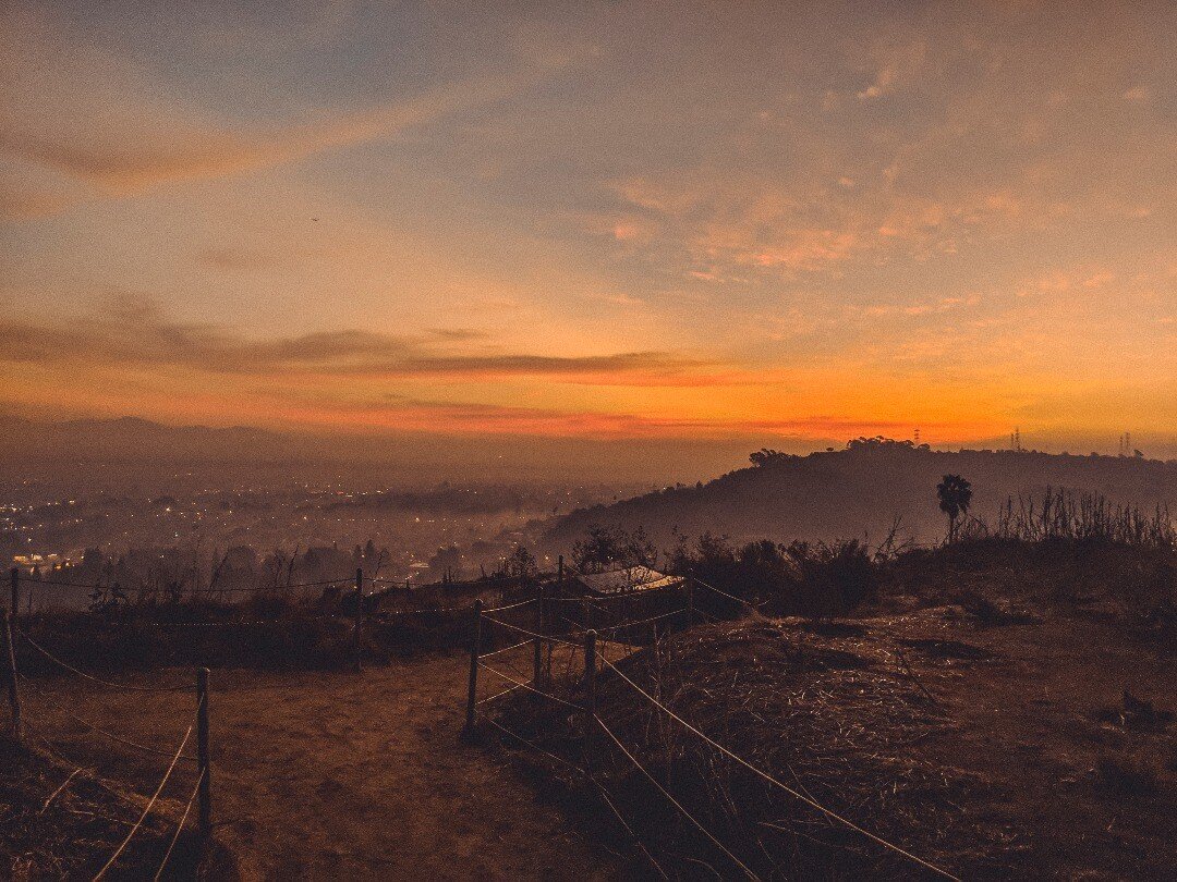 Been falling in love with so many sunrises this year.