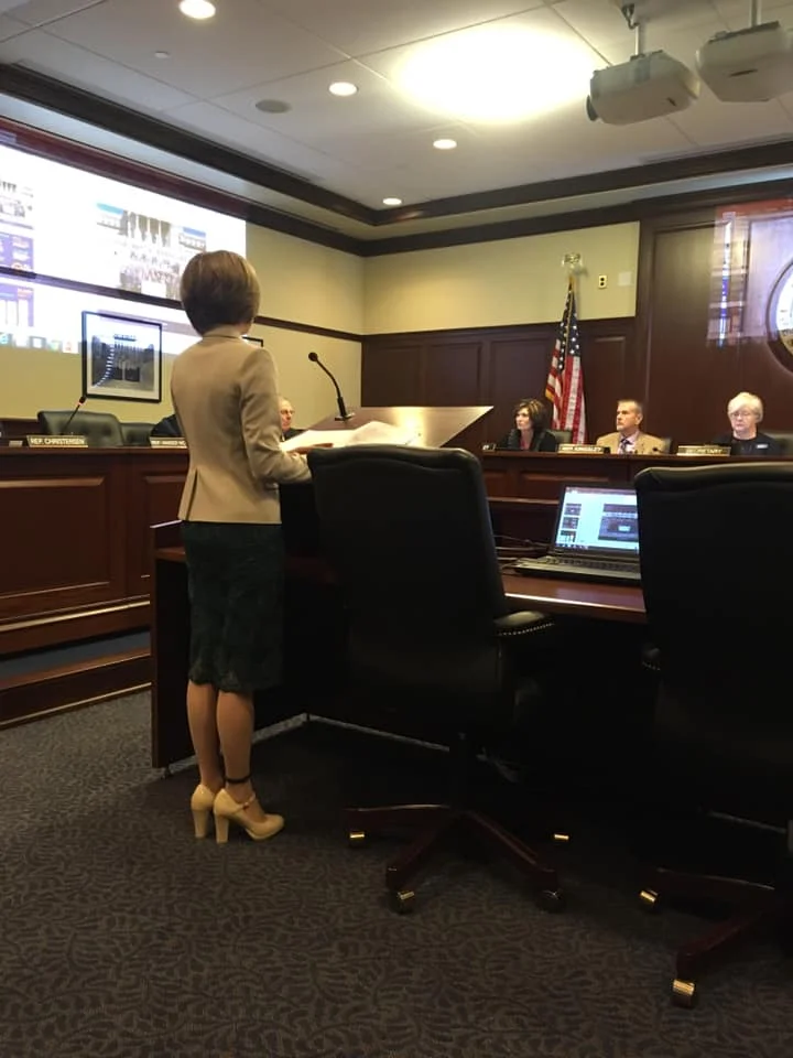 Rep. Young and Rep. Green (2) presenting legislation to repeal Medicaid Expansion
