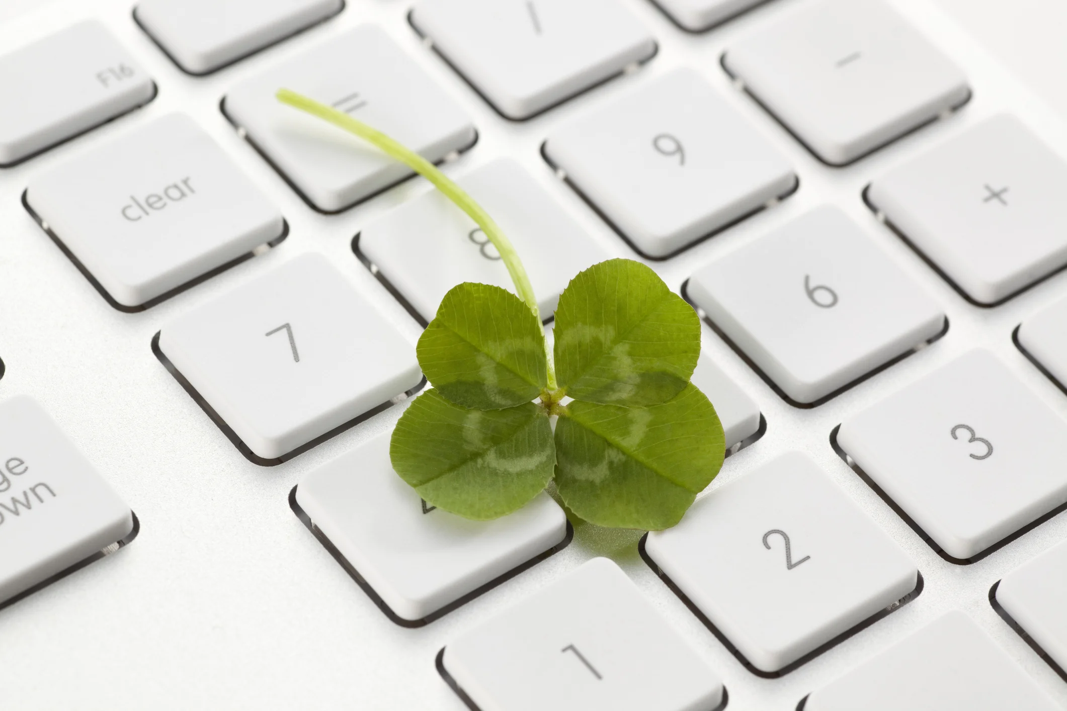 shamrockcomputer.jpg