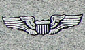 Wings with a crest - U.S. Airforce Pilot