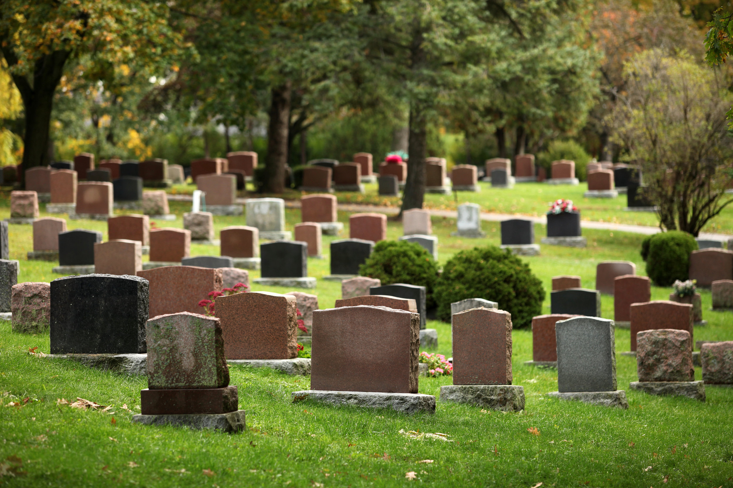 AncestryAgency_Headstones.jpg