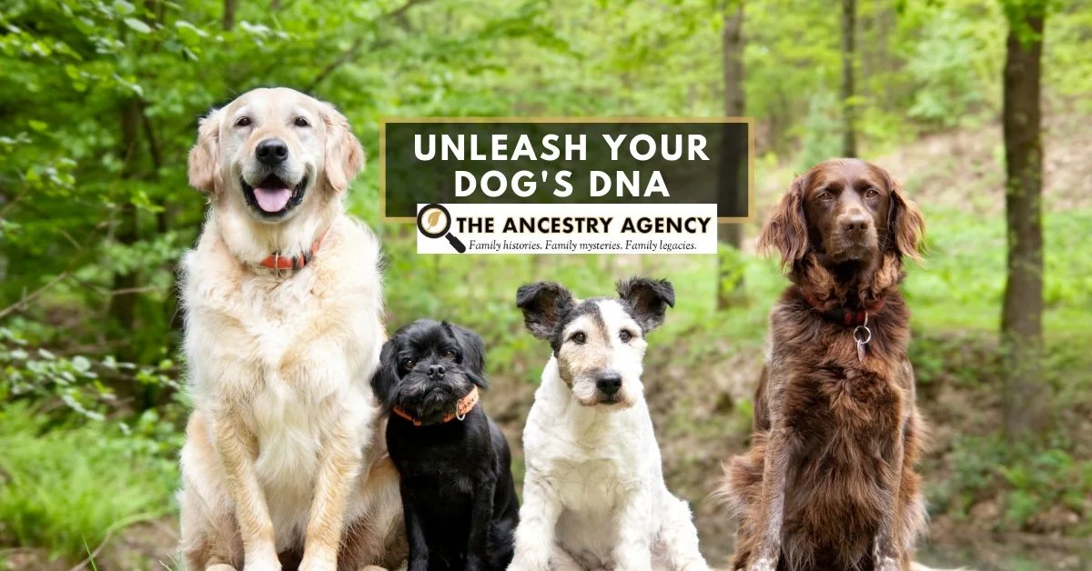 DogDNA_Guerrieri.jpg