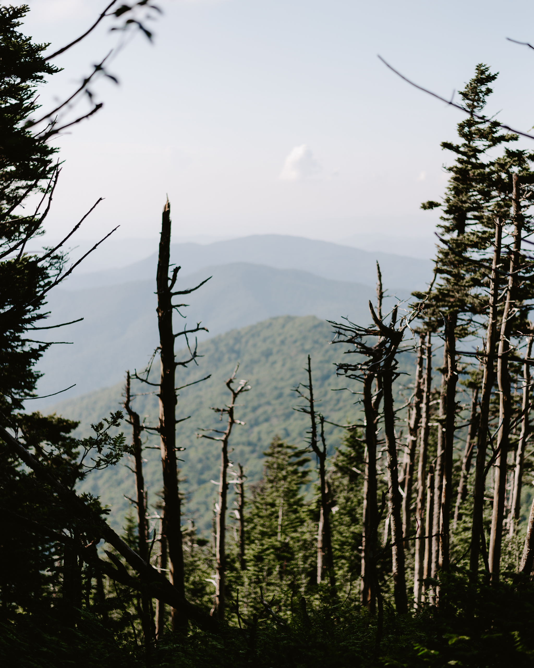 20180618-DSC_3281.jpg