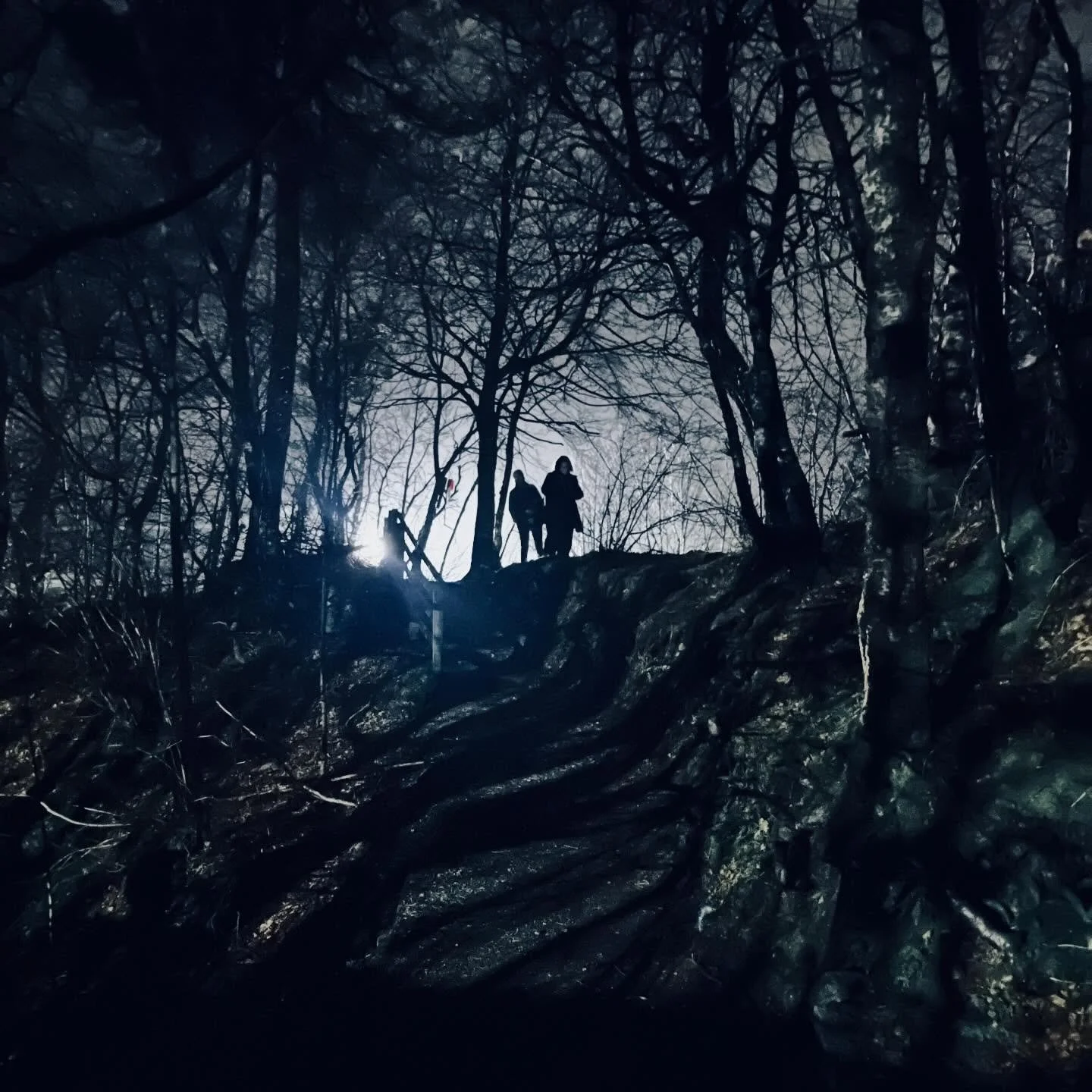 Completed an absolute joy of a tour with the @agiantonthebridge crew a few weeks ago. Was a delight to get to take it around the country with such good good peoples. Shouts to abody involved. @jilllorean @linklaterpip @mo.jango @raveloemusic @sounden