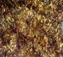 5-browns-220x200.jpg