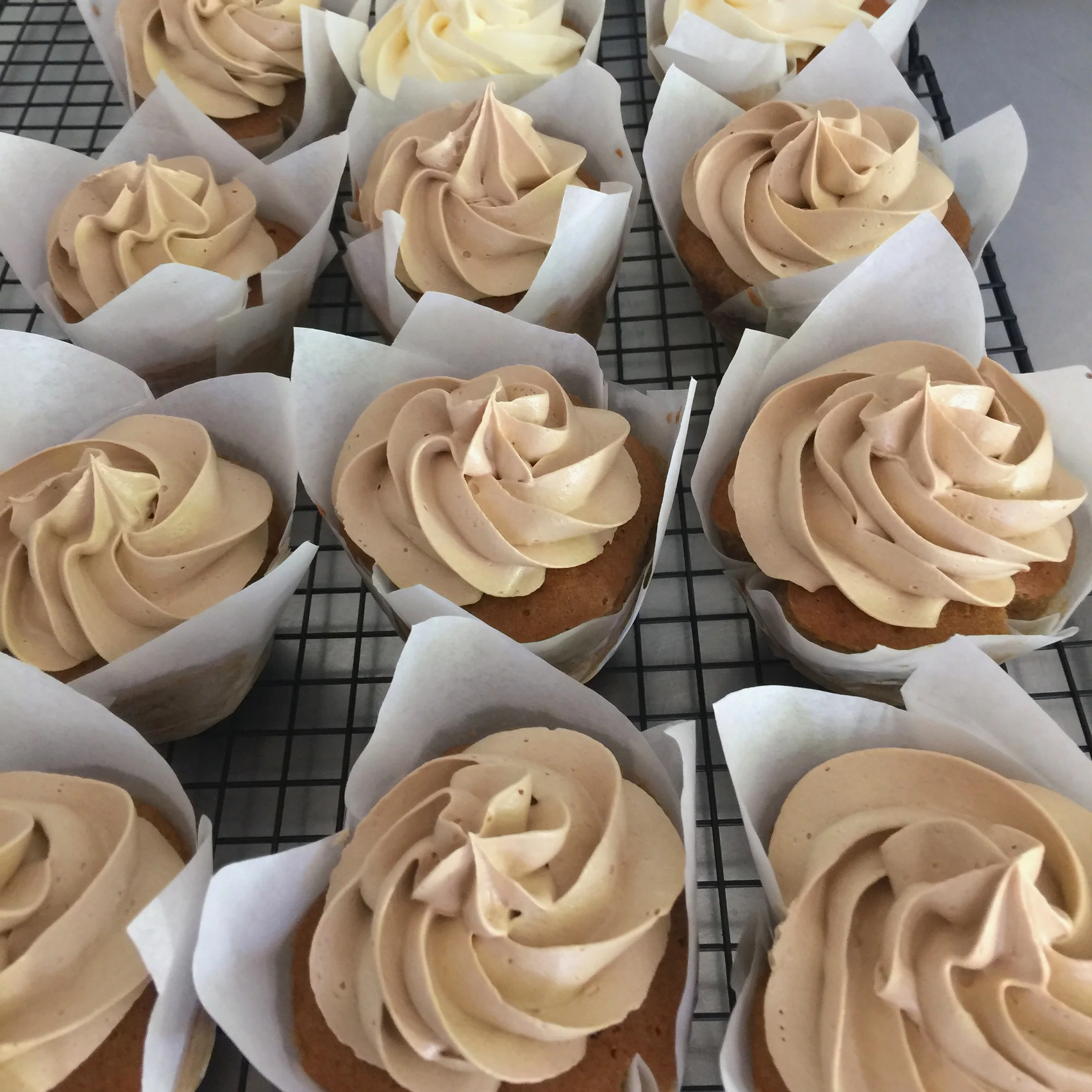 File 28-01-2017, 09 47 04.jpeg