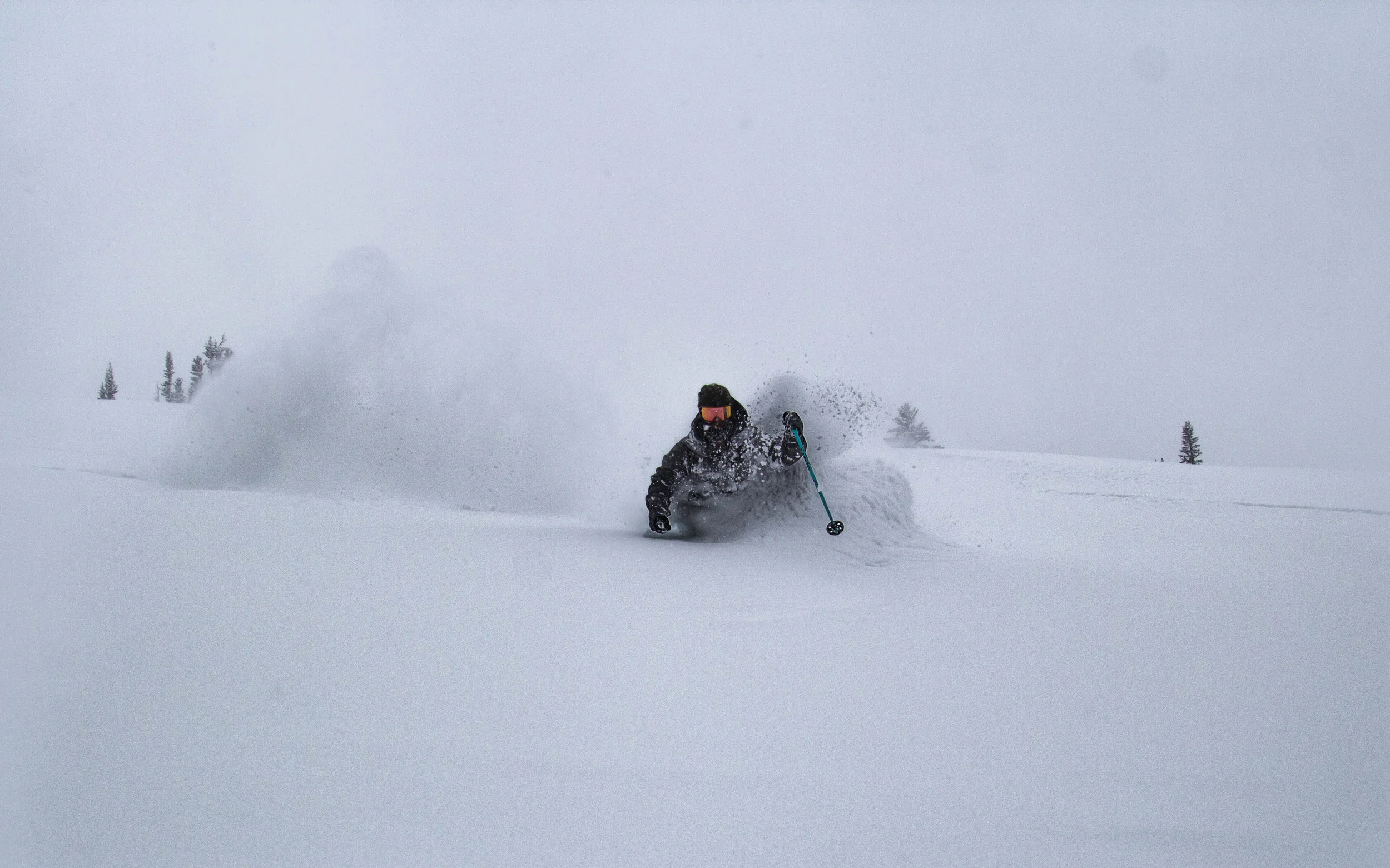 Teton Pass, WY, February 2018