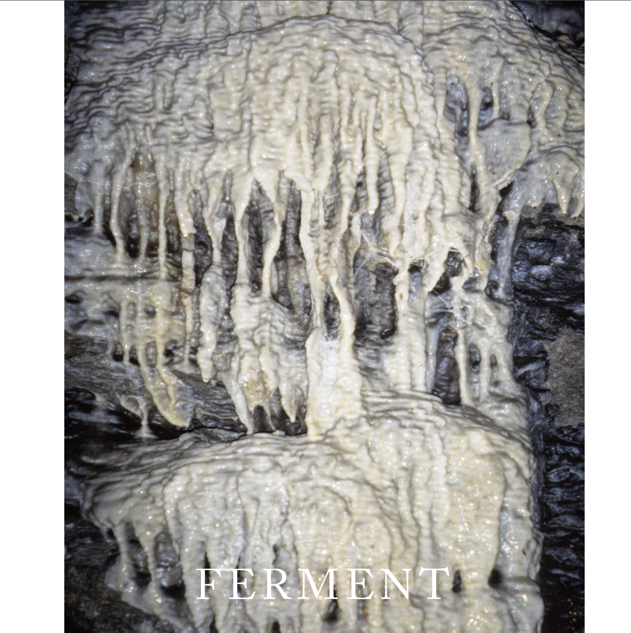 Screen Shot 2024-02-04 at 12.06.51 PM.png