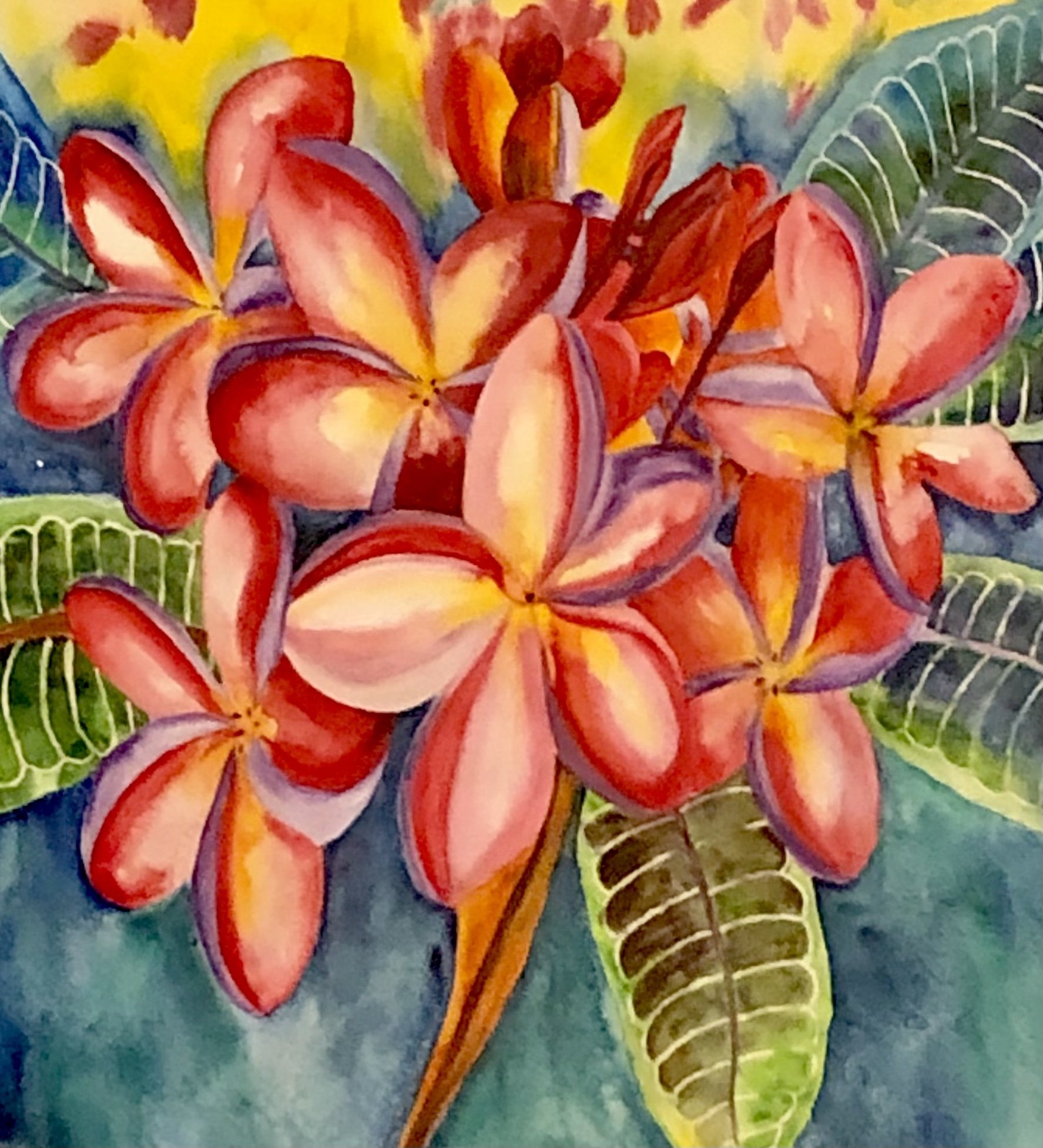 Plumeria