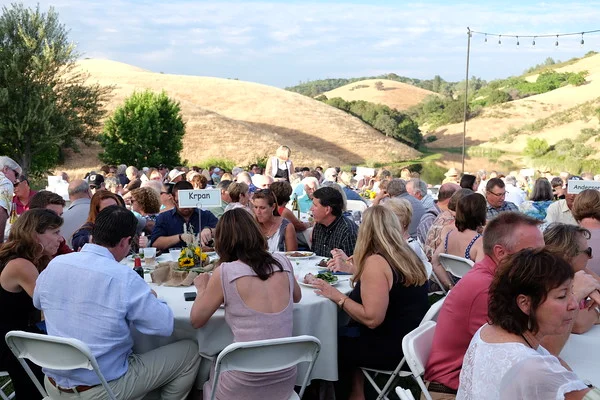PARTY16 diners on lawn lake behind.jpg