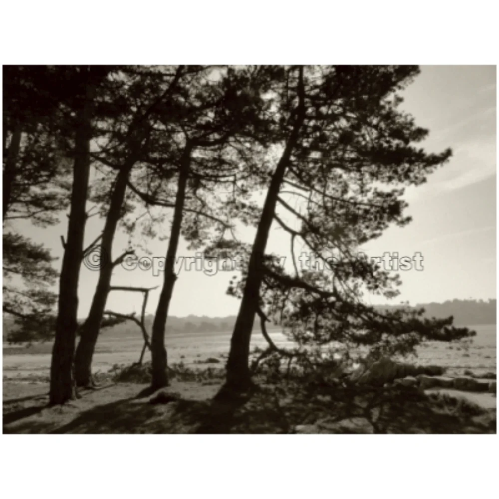 Paysage Marin