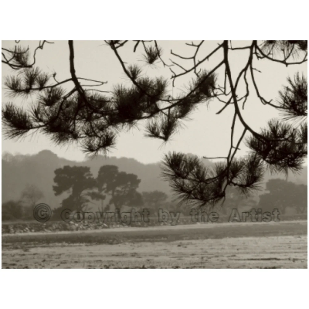 Paysage Marin