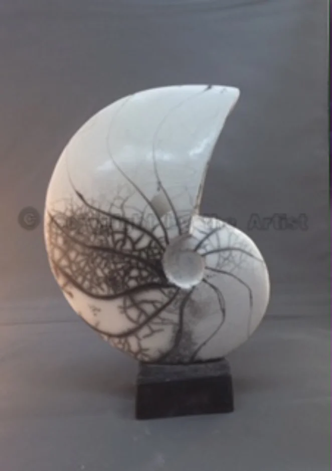 Ammonite