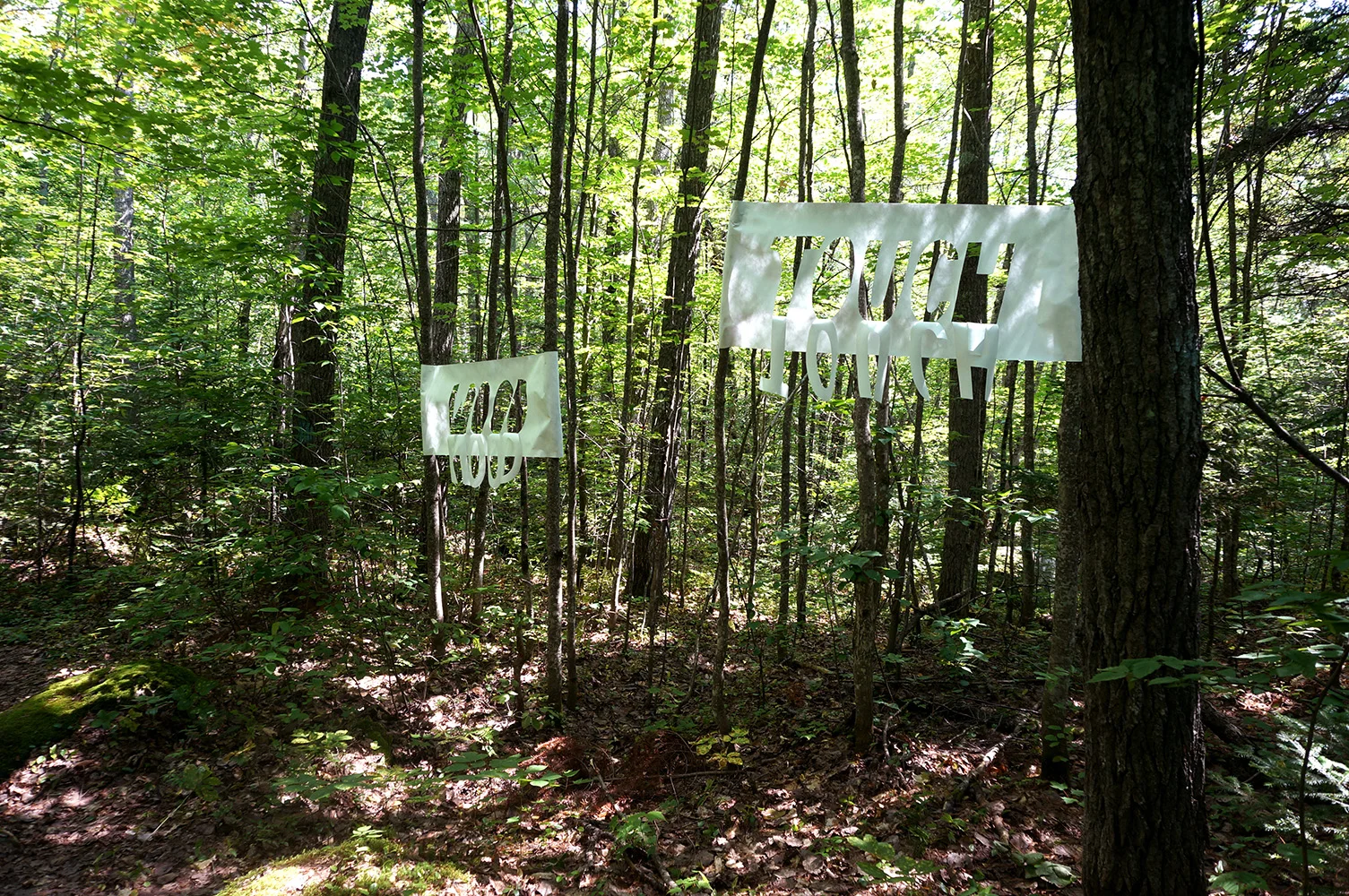   Field Notes , 2015, Tyvek, Installation views in Groton State Forest 