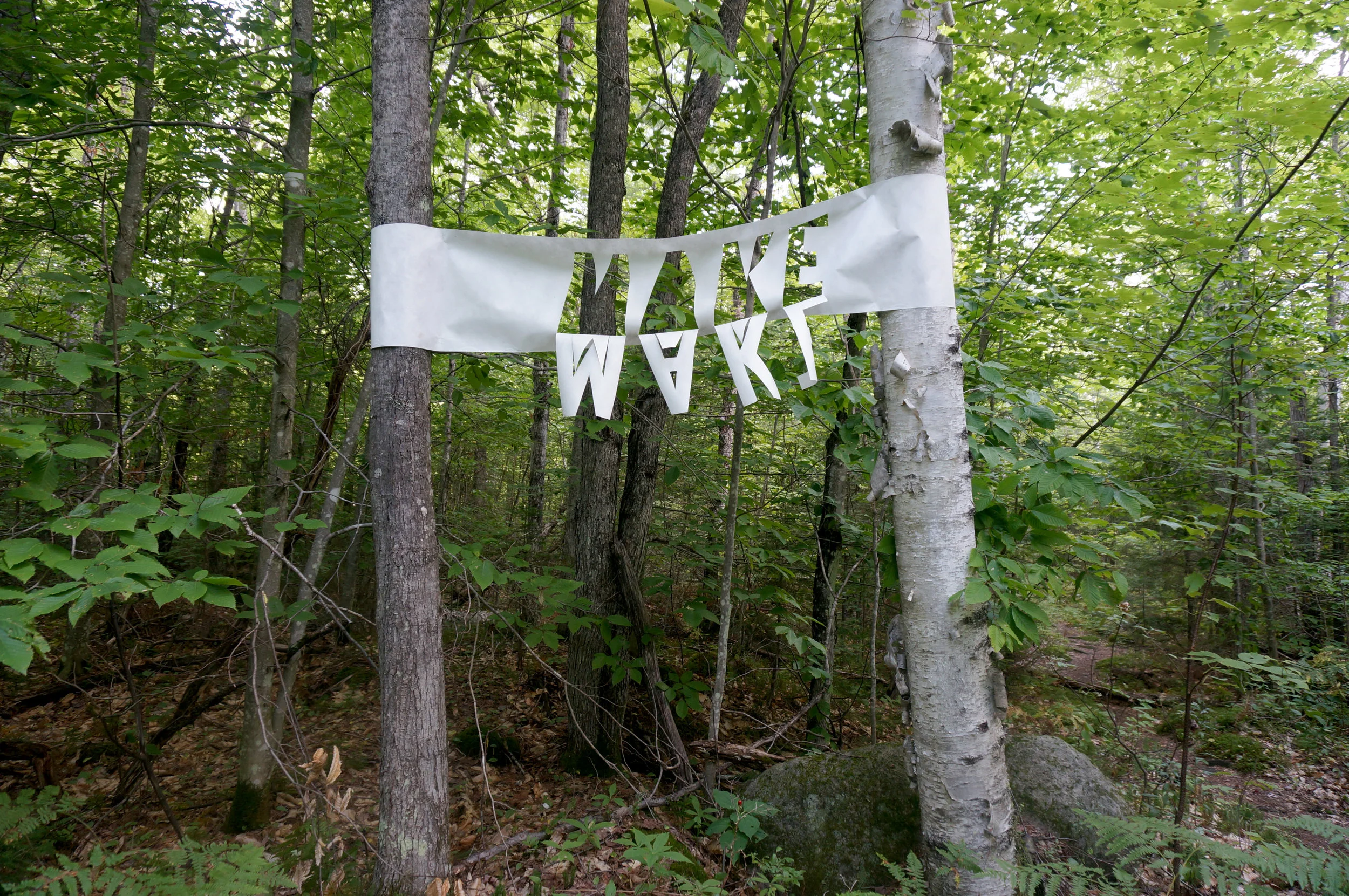   Field Notes , 2015, Tyvek, Installation views in Groton State Forest 