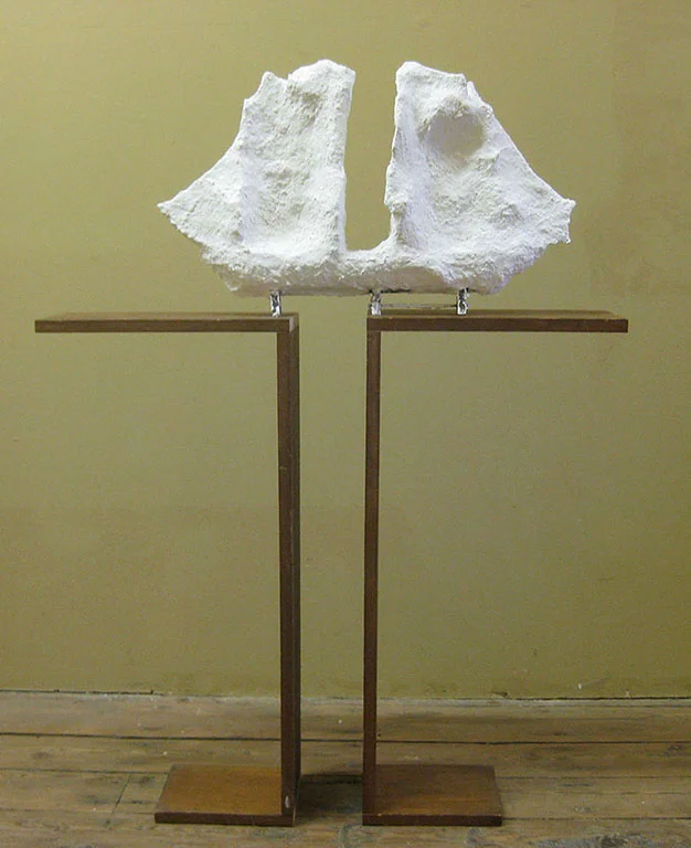 Wrapped Ship & Wrapped Shelf , 2013, Plaster, Pulp, Ship Model, Disassembled Book Shelf, 45'' x 37'' x 9'' 