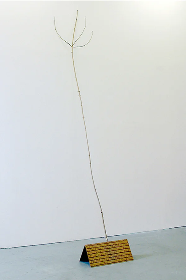 Roof Branch , 2011, Branch, Toy Model Roof, 9' x 24'' x 12''