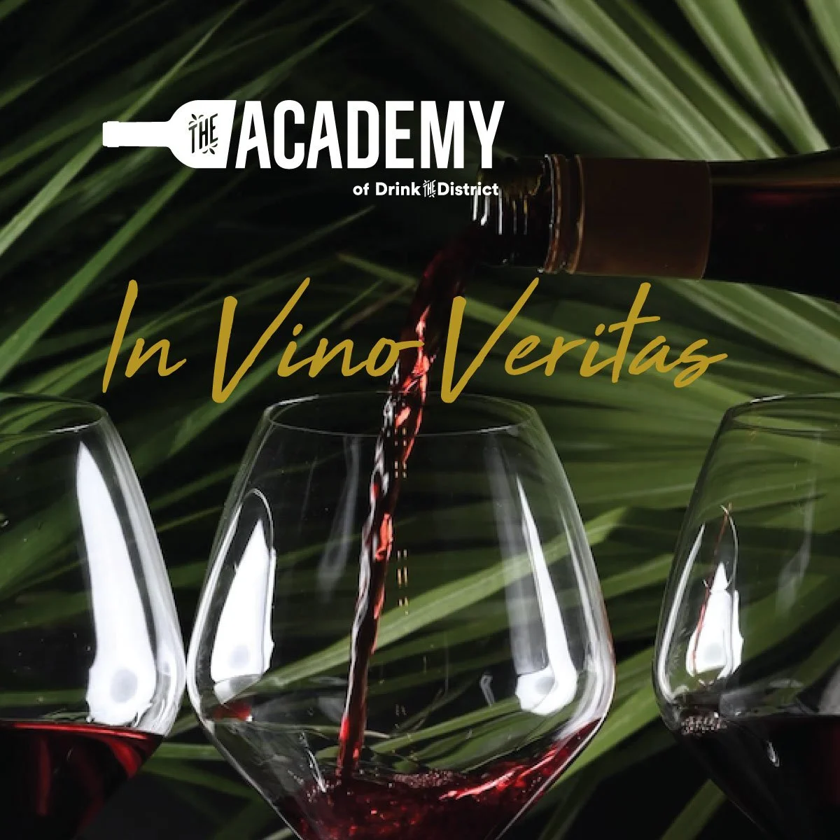 The Academy Series: In Vino Veritas