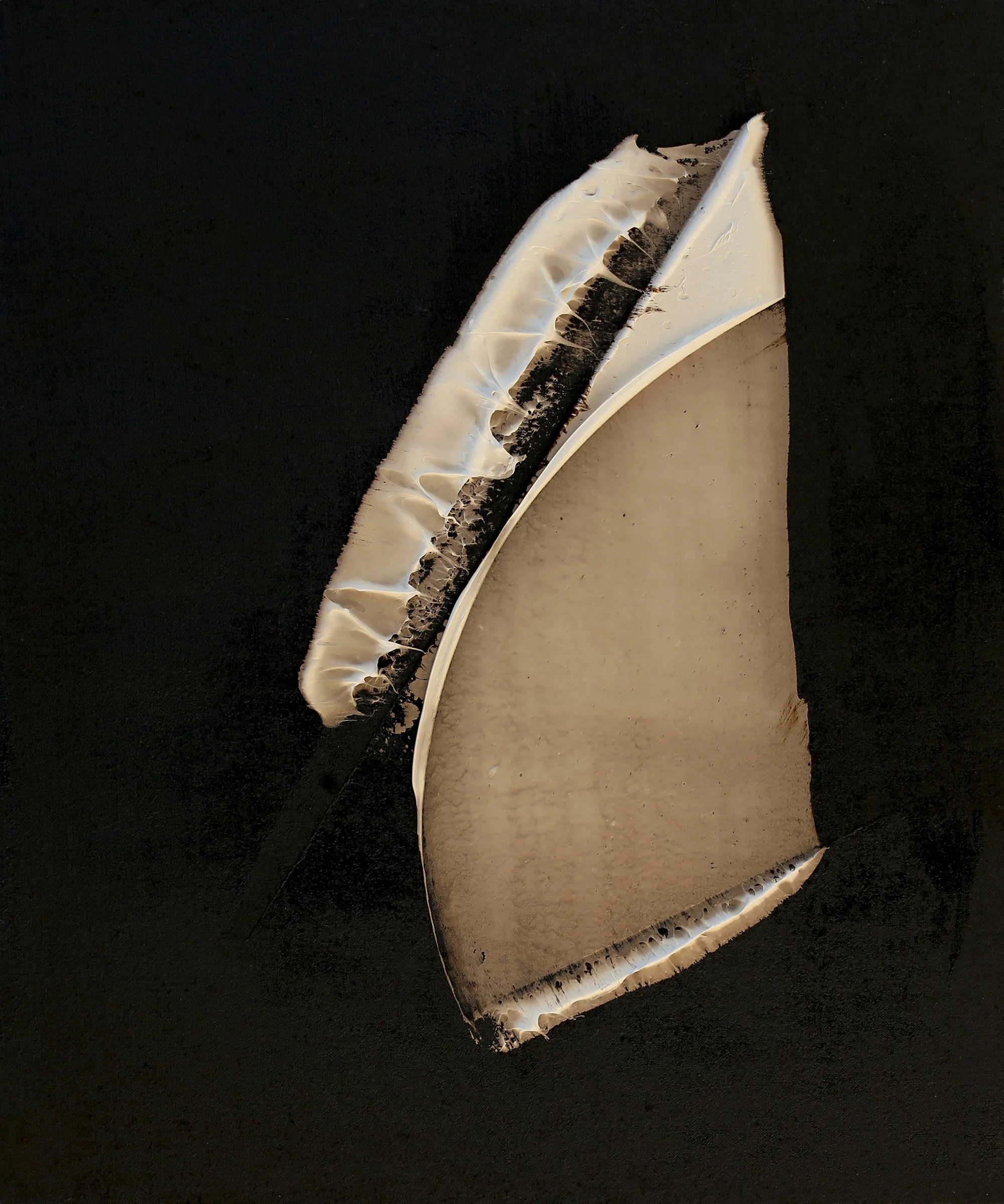 Shifting Allegiance , 2017 oil and tar on linen 24 x 20 inches