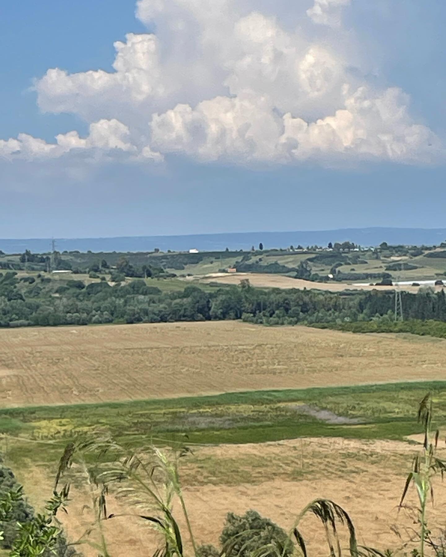 From our perch along the Basento river, we look over the neighboring hills towards San Biagio and consider the ancient pathways linking these places. #Incoronata #metaponto #bernalda #pisticci #pisticcipostomagico #bernaldabella #beautifulbasilicata 