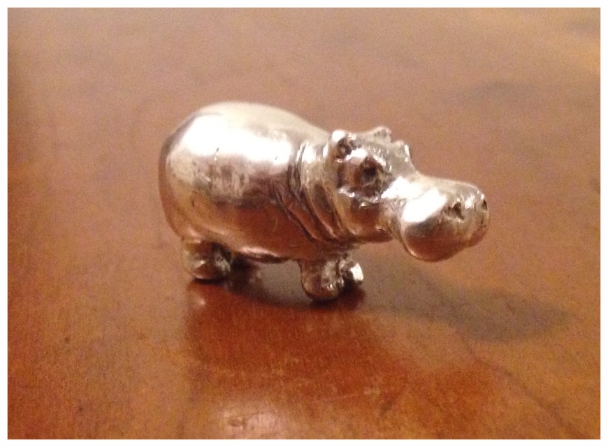 FullSizeRender (006)hippo.jpg