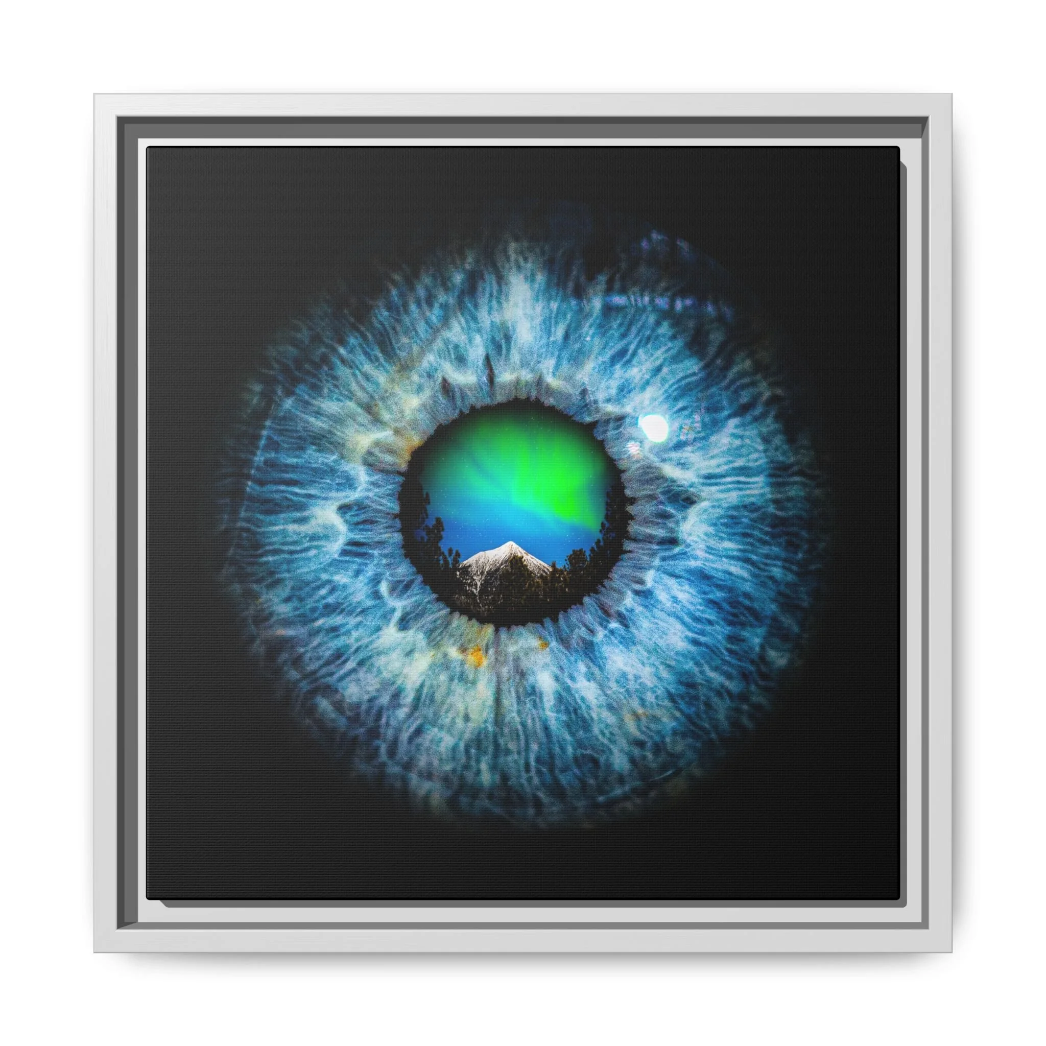 da82585f023065f596f6b1ae4ccf958c