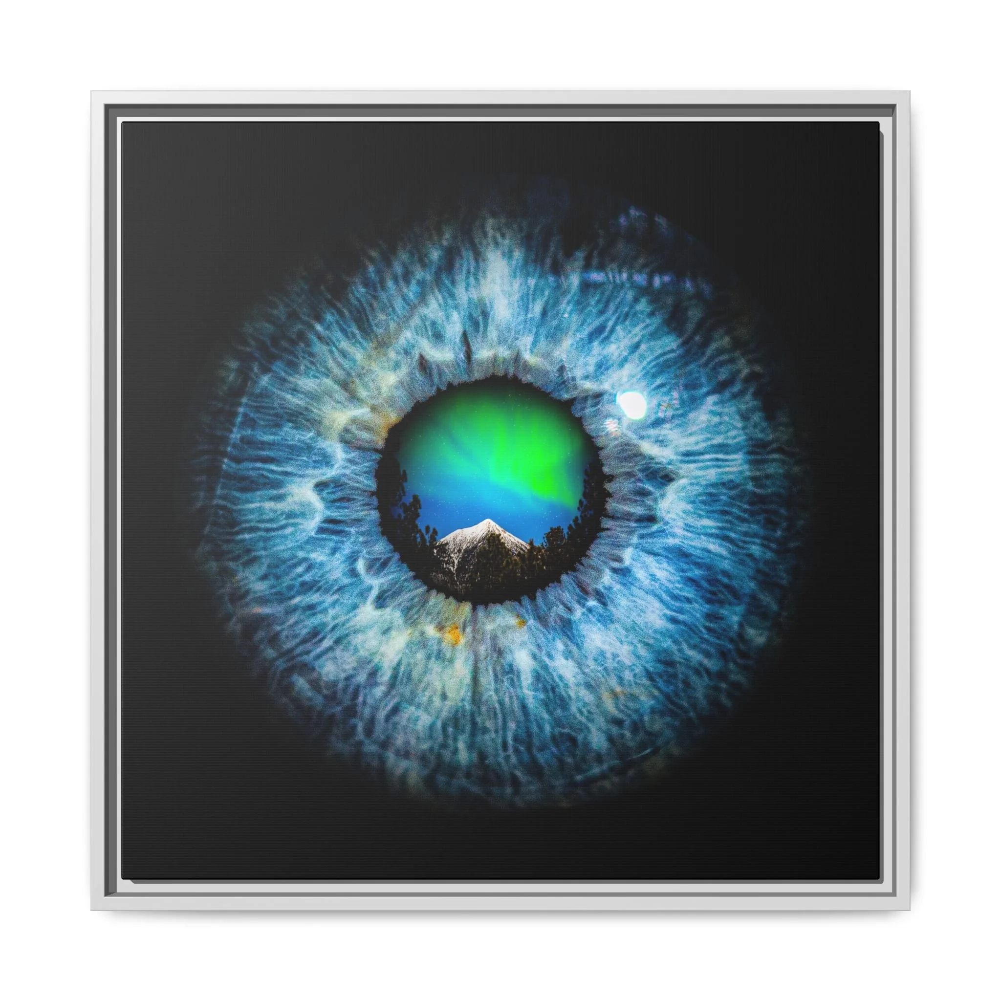 8f33cc31c9d665a1ea4fcdca61446cfd