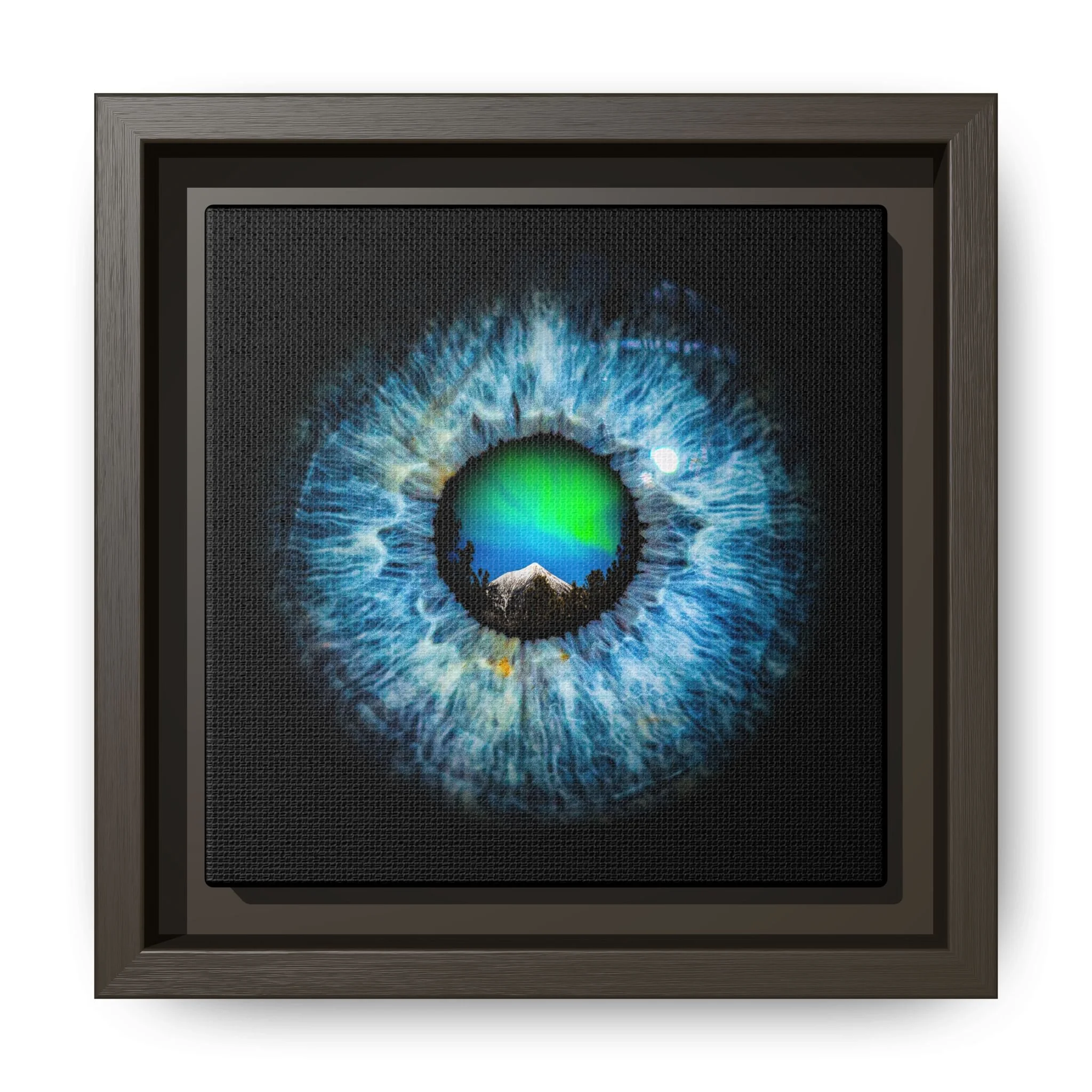 bac3785a53778a931d6606c3b552a879