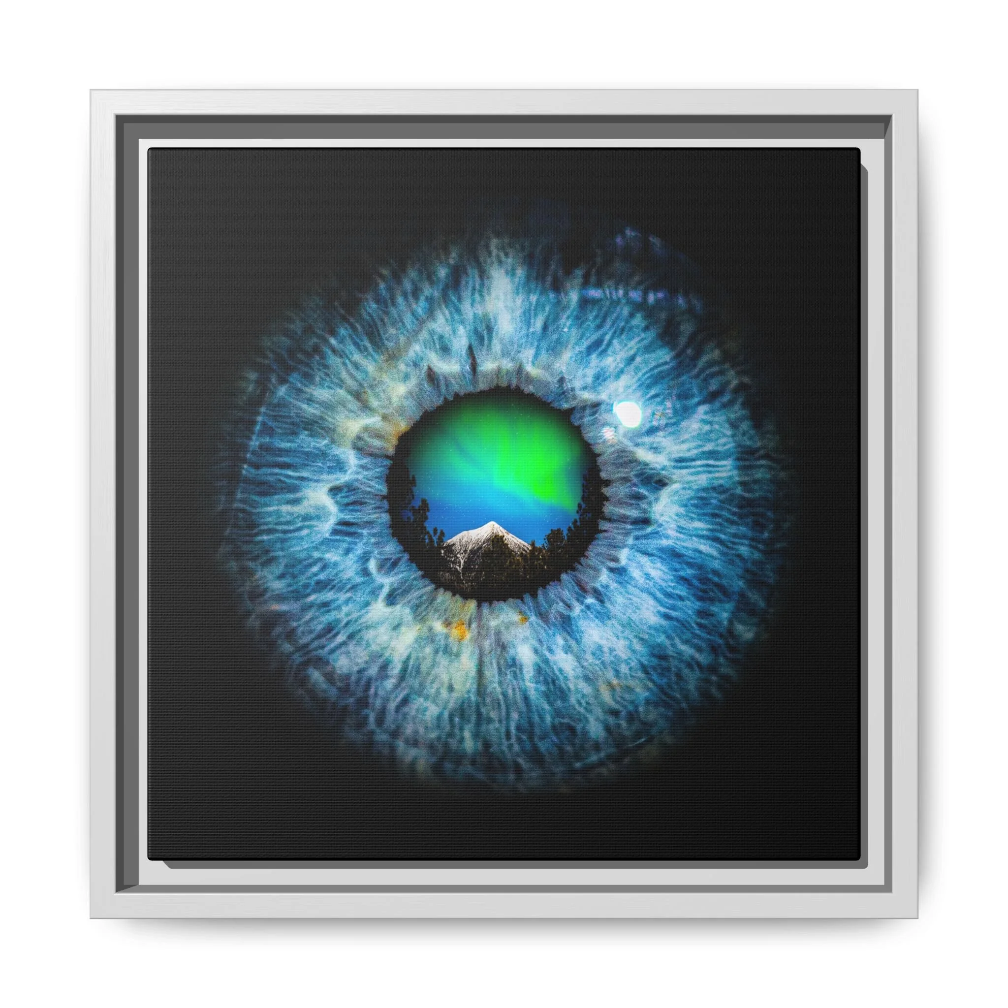 9299e88ff2f8dfd3145acd423693835c