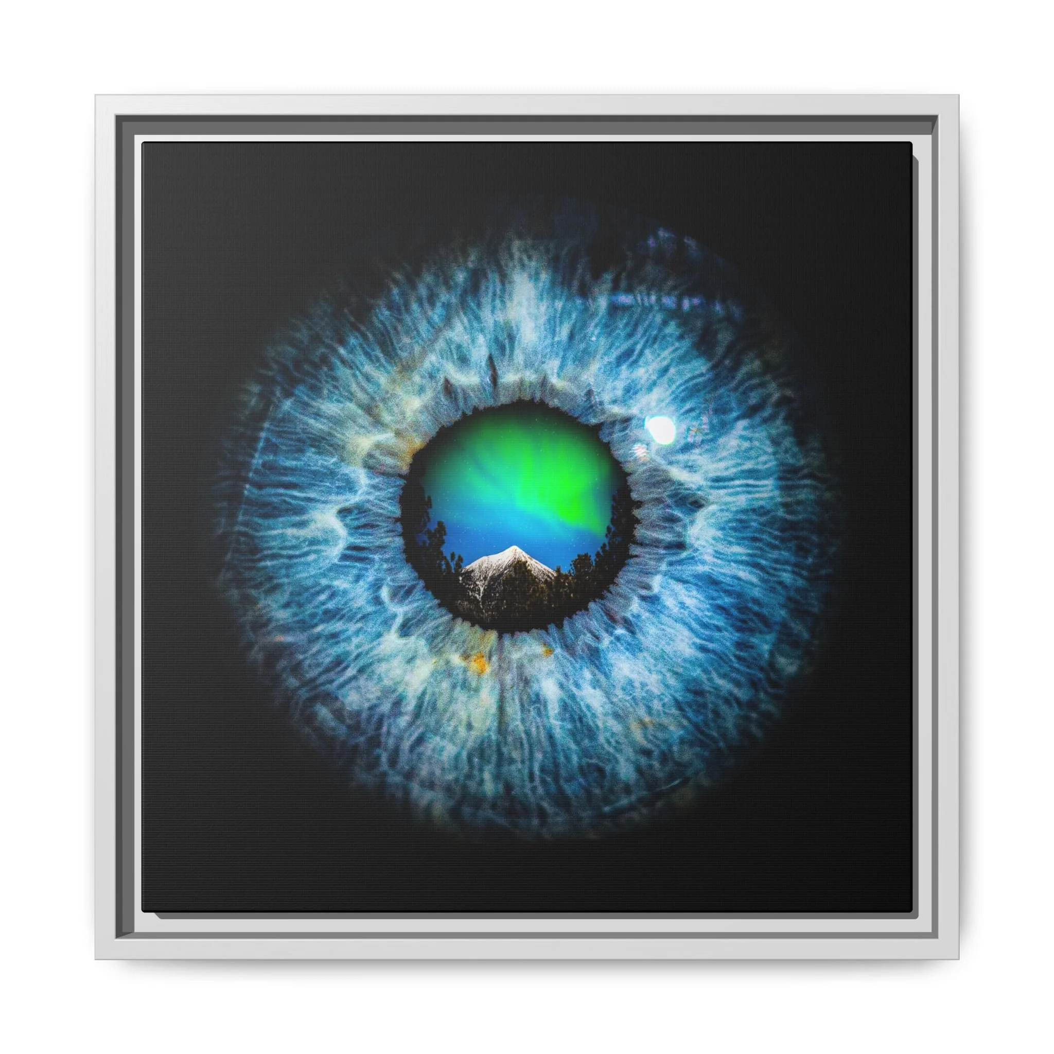 61d3a09e4340aac9895f63fee6491684