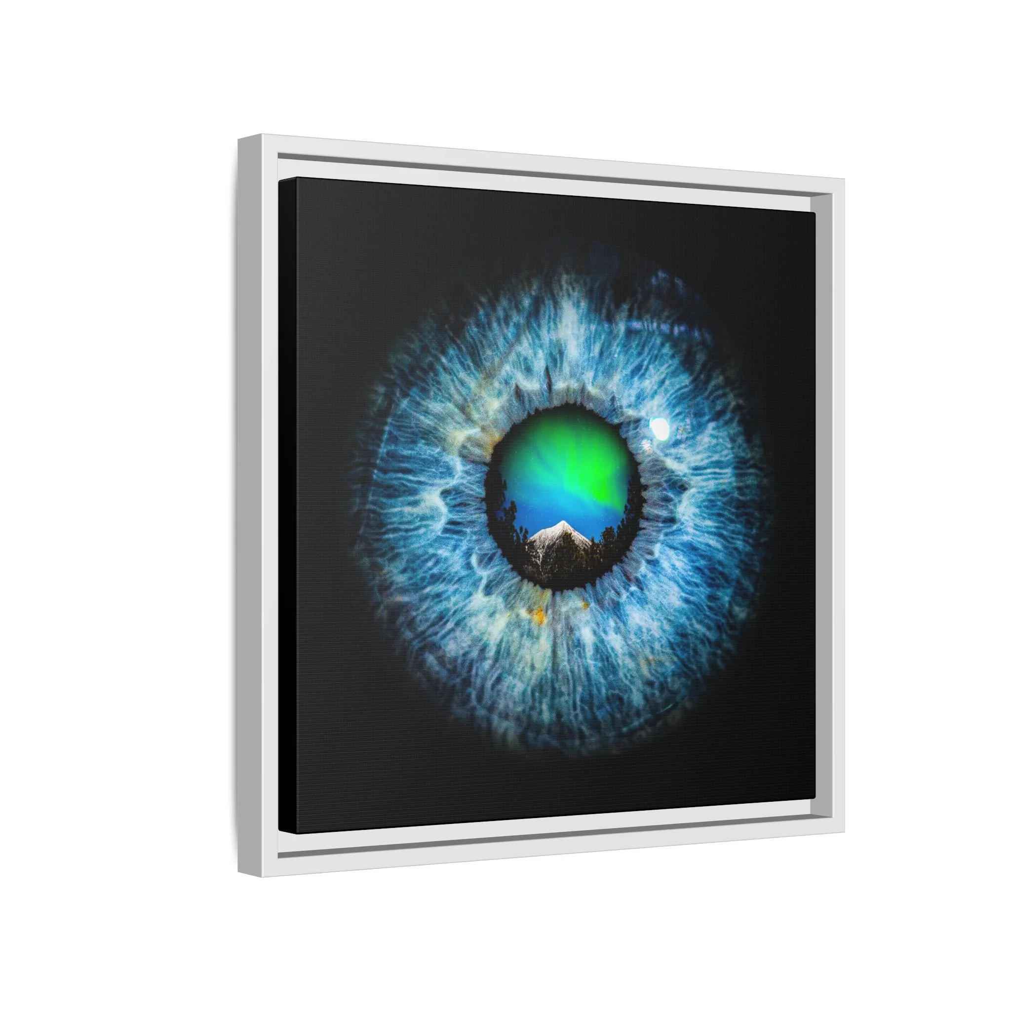 f12494d21018ef2602e1030c2279cf03