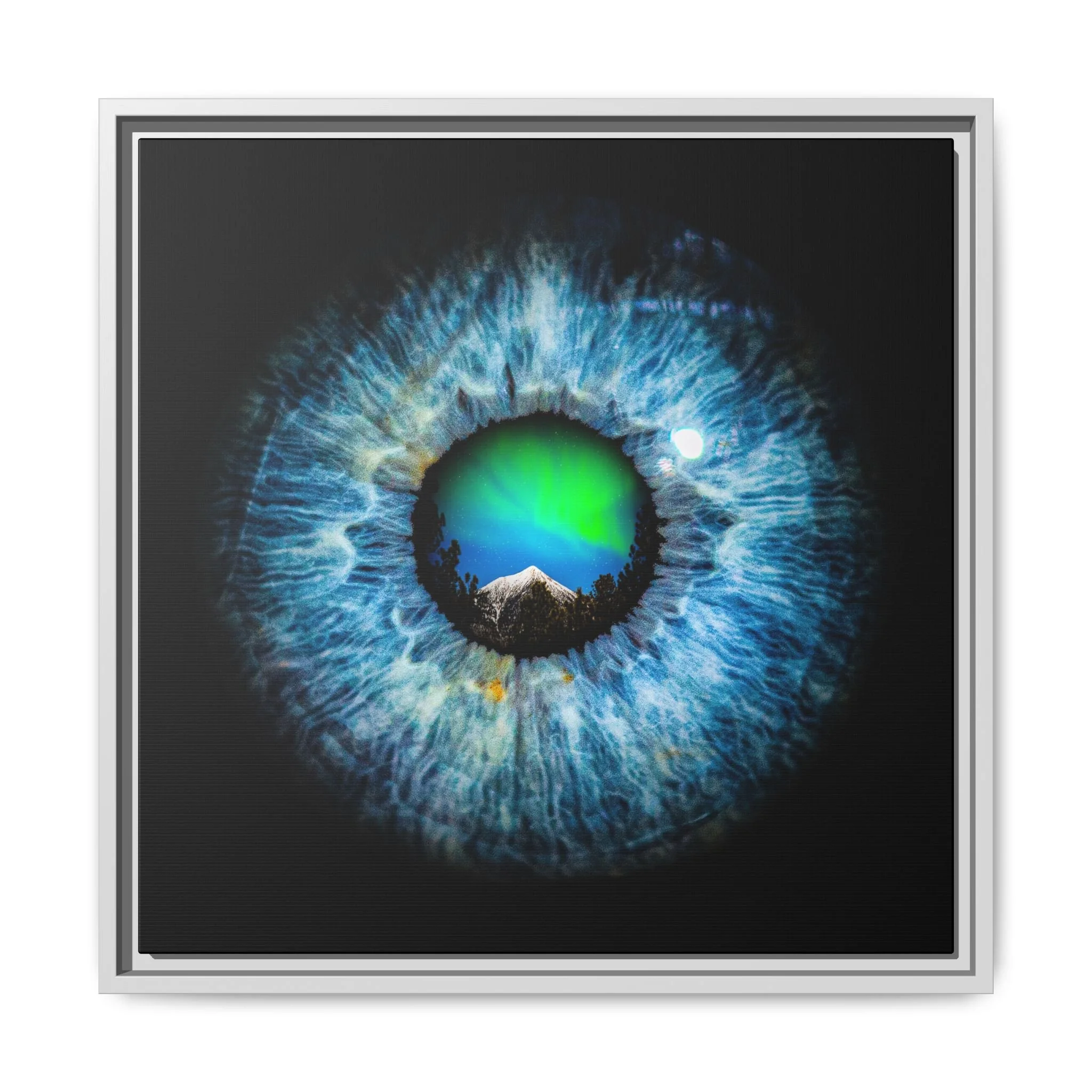 5f83290740d0672b29077f806ddcca14