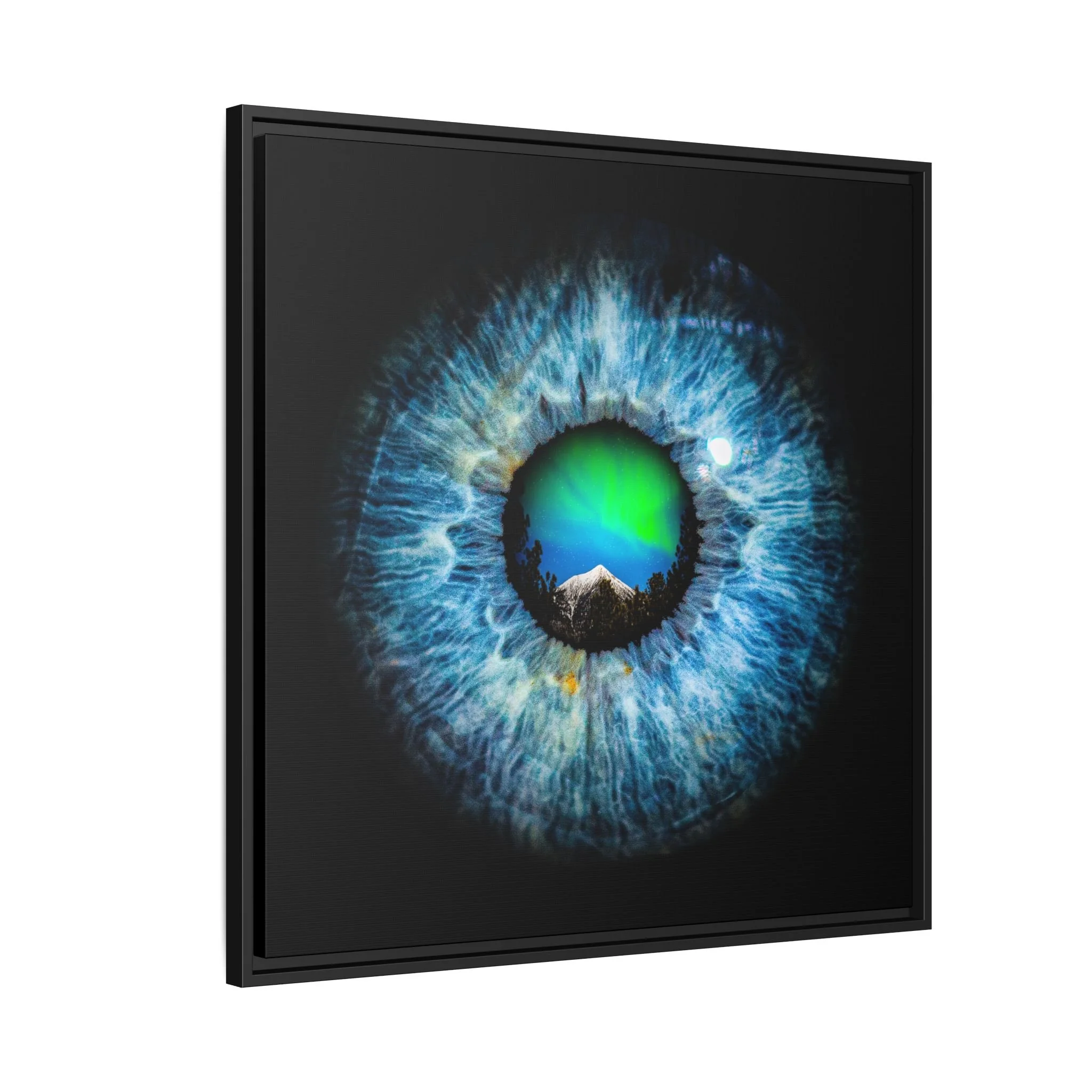 ab7558504318ca73c503401aa62510b5