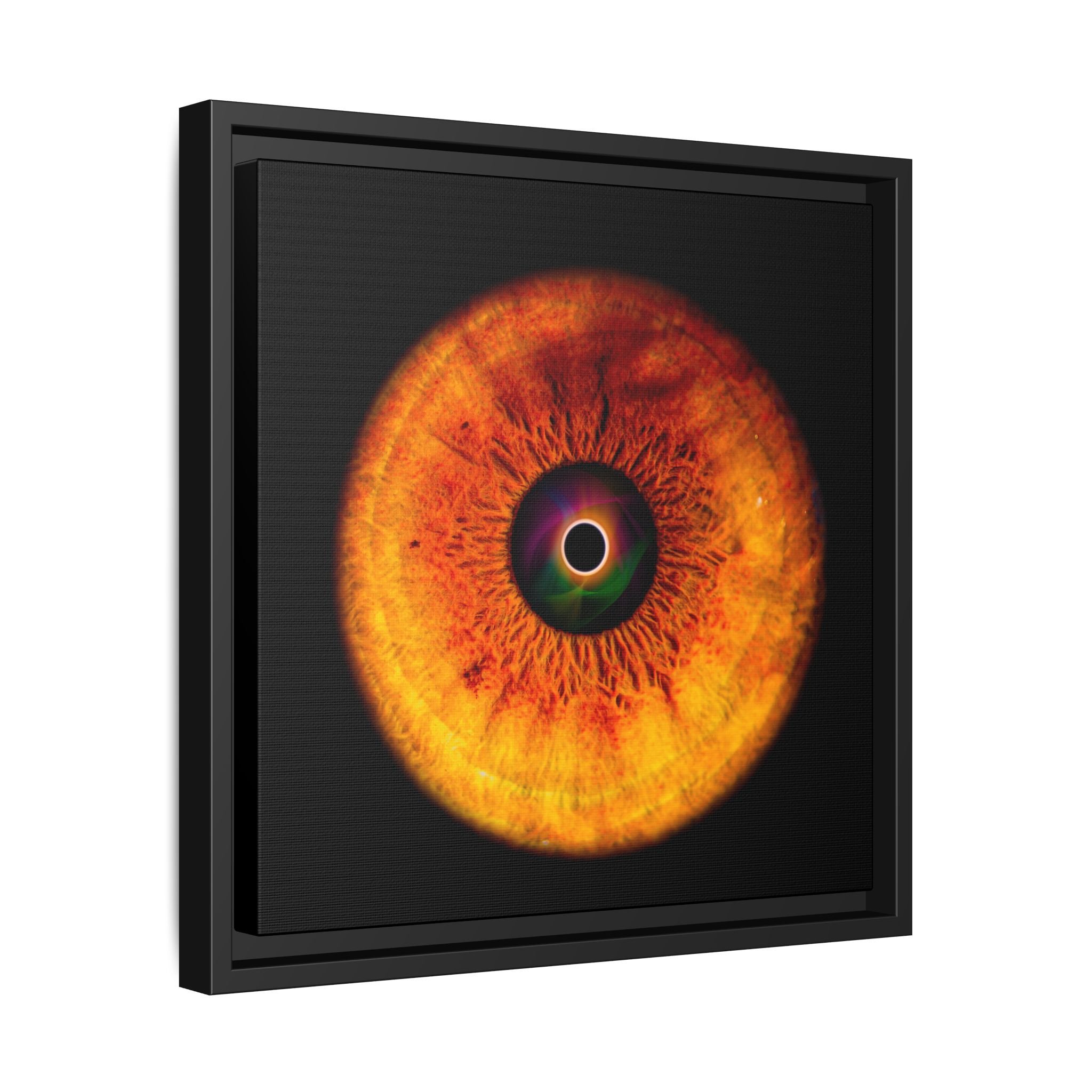 9bb0353d7cc00c7488099a1364fbc657