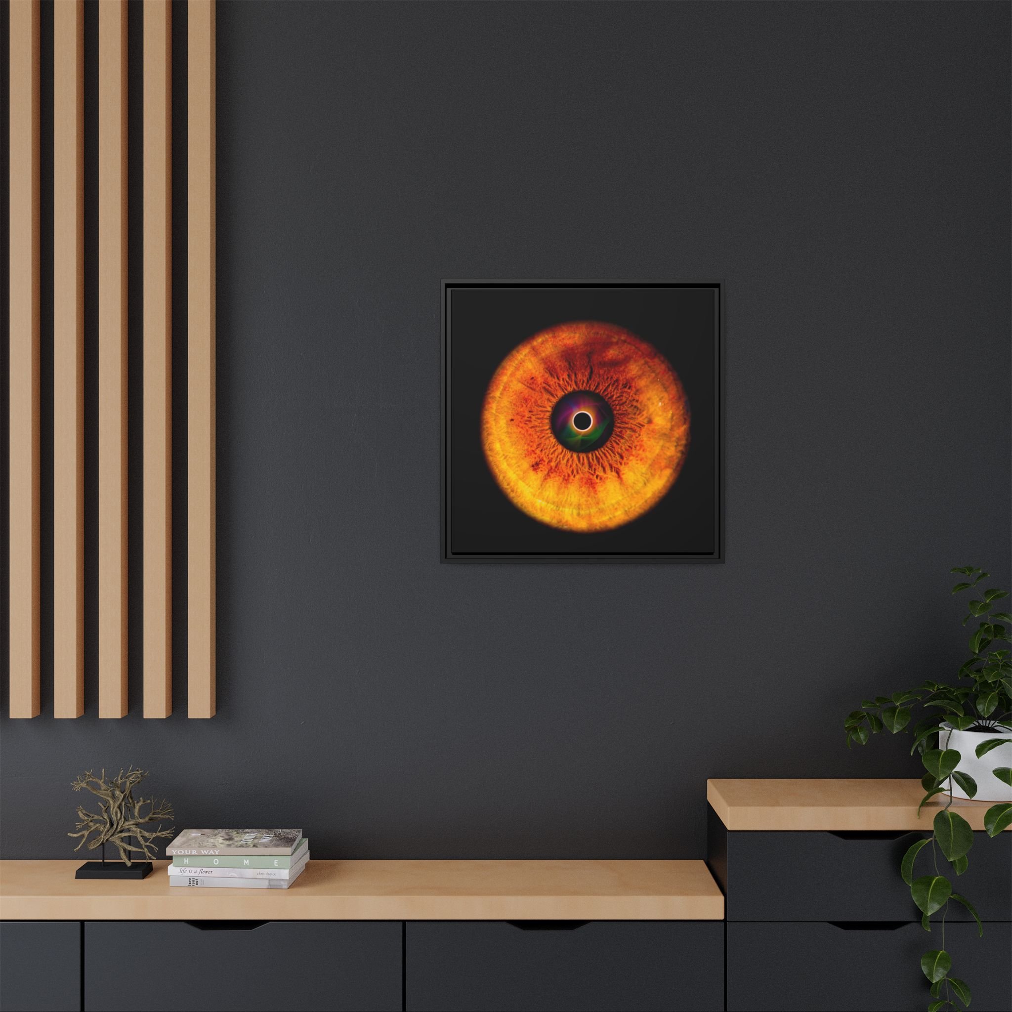 a5545200c990de4589942e96b0d96d4d