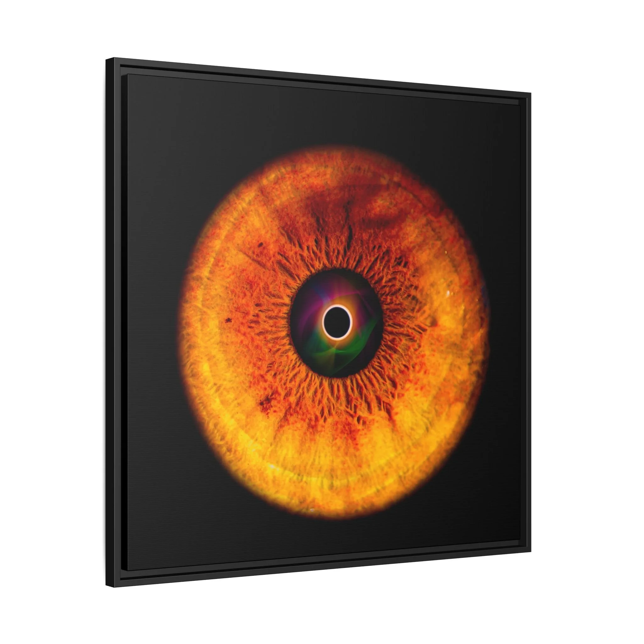 ba594eab91d1cf88782483684d0f2120