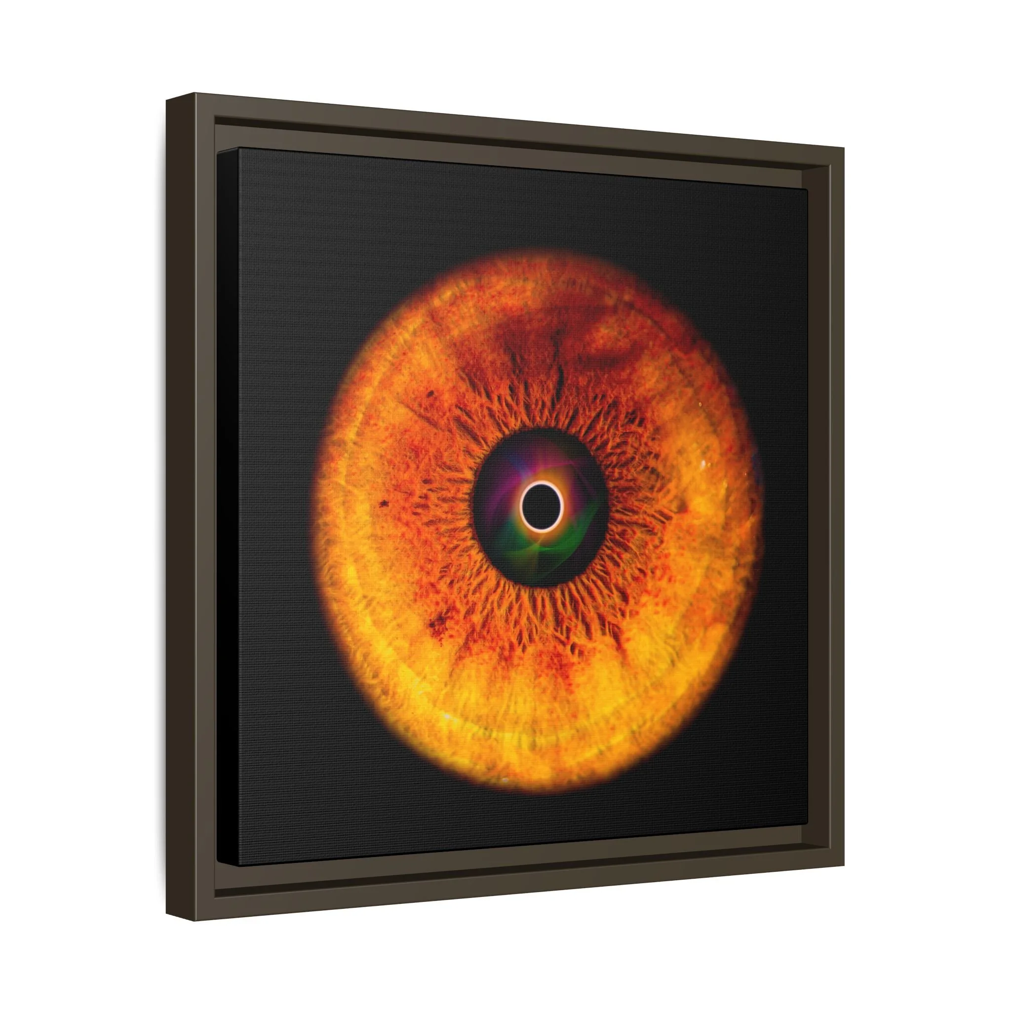 bb4e551eb3553e40491196f9331c3f37