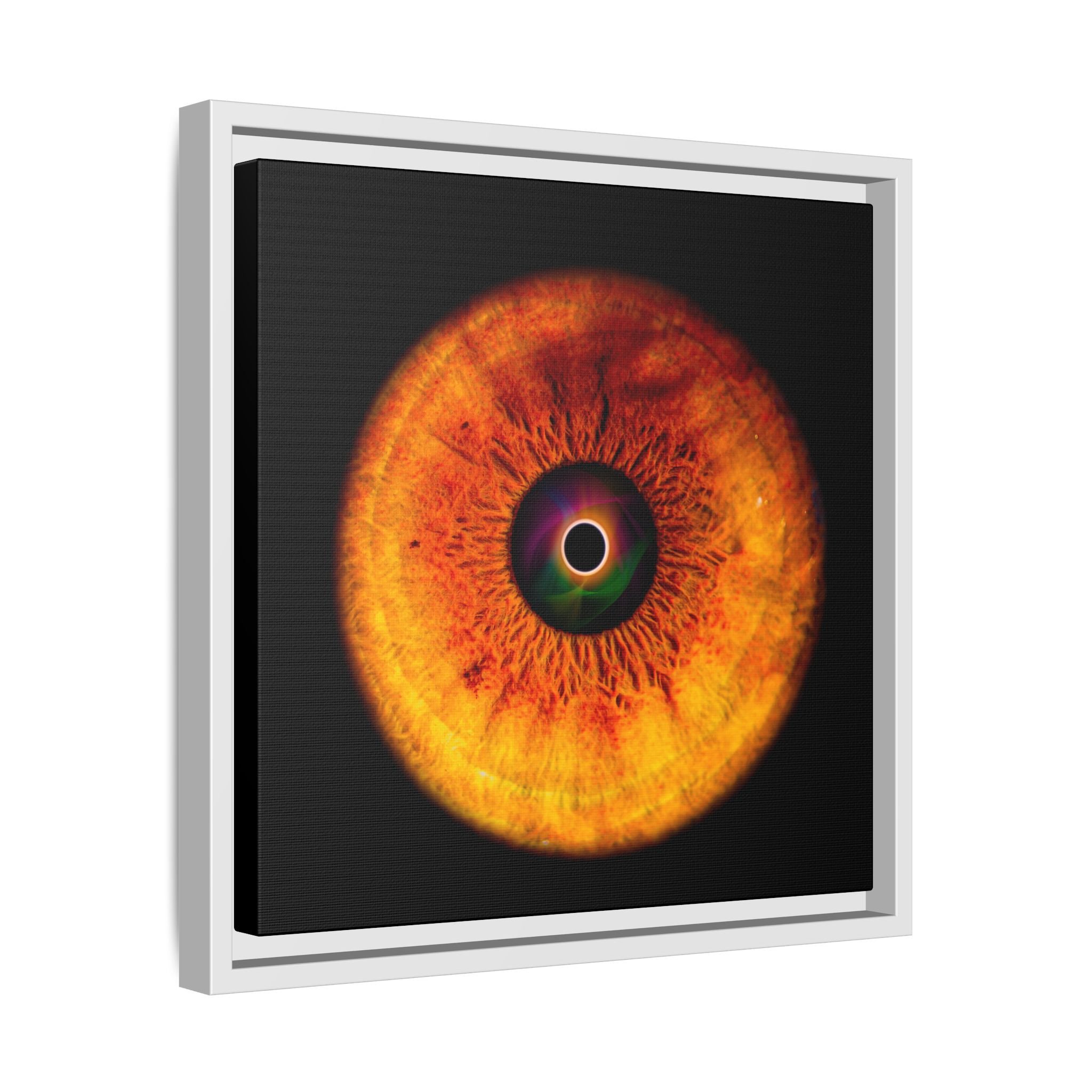 dbf5e8c1e688855b9bfacdcab3a60b98