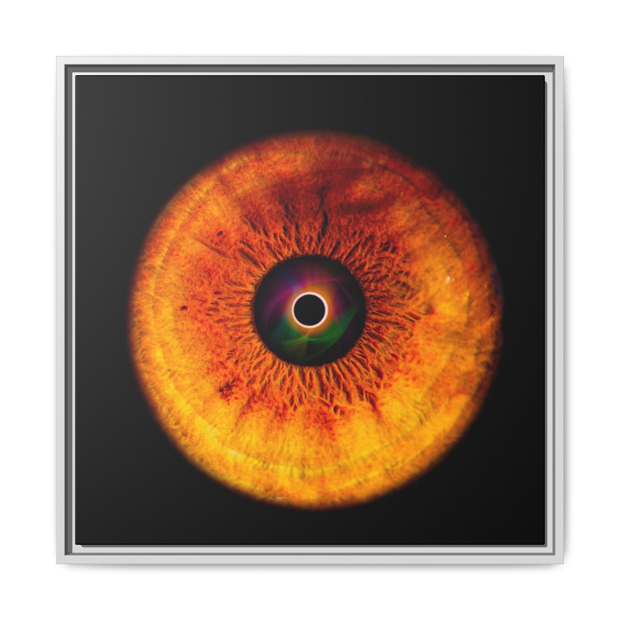 20ad80534bc36f8ecf1d3334b4c37f7d